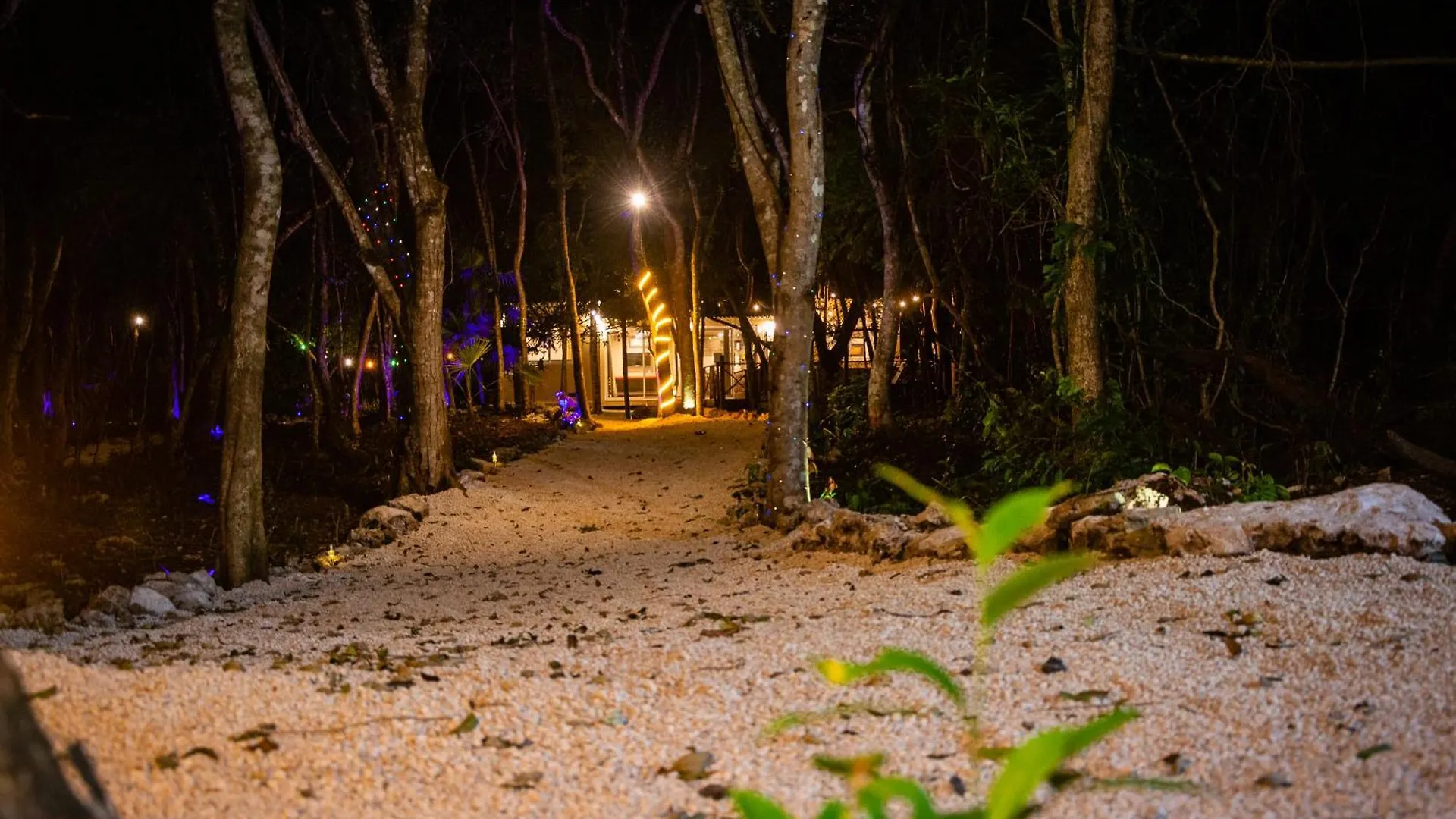 Jungle House With A Pool Villa Akumal Holiday home
