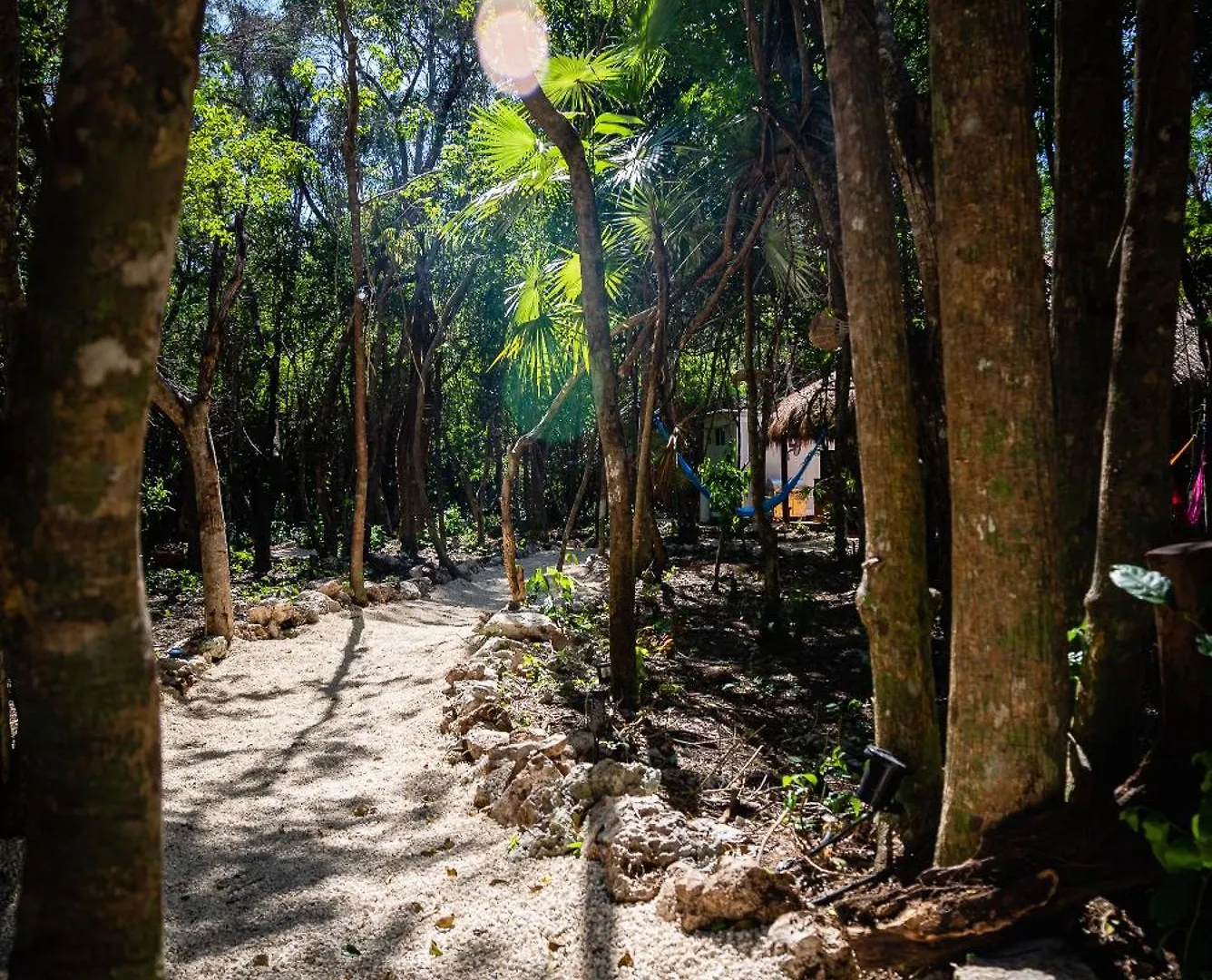 Jungle House With A Pool Villa Akumal